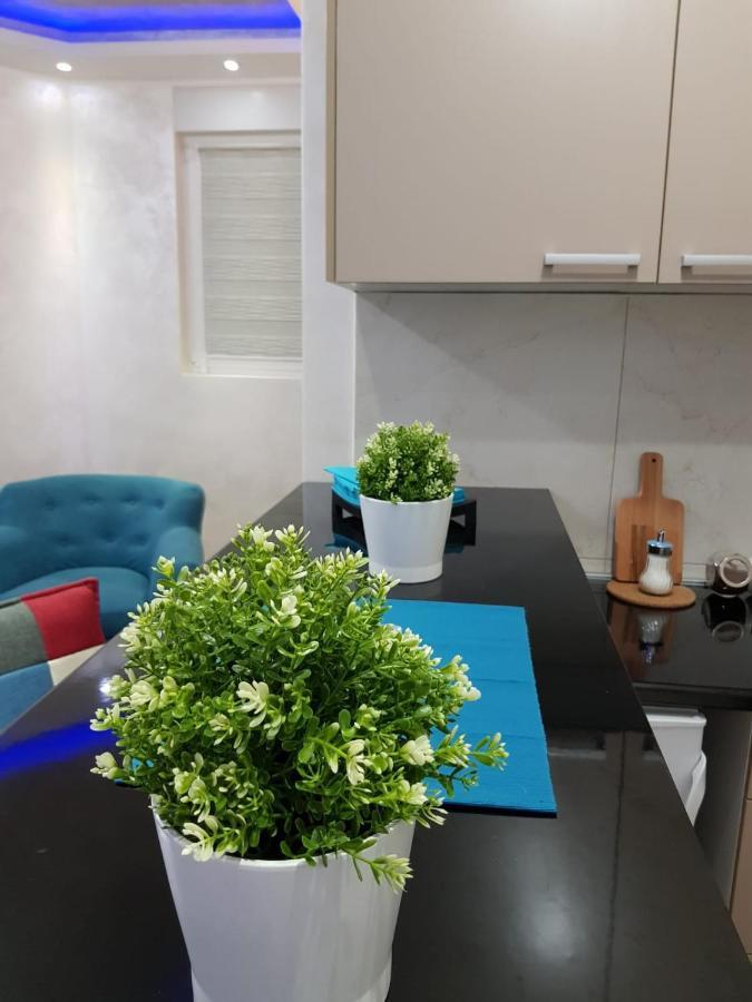 Apartmani Venera Belgrad Exteriör bild